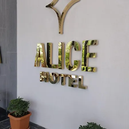 Alice Hotel